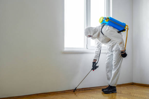 Best Local Pest Control Services  in Sturgeon Bay, WI