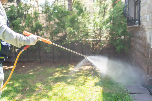 Best Affordable Pest Control Services  in Sturgeon Bay, WI