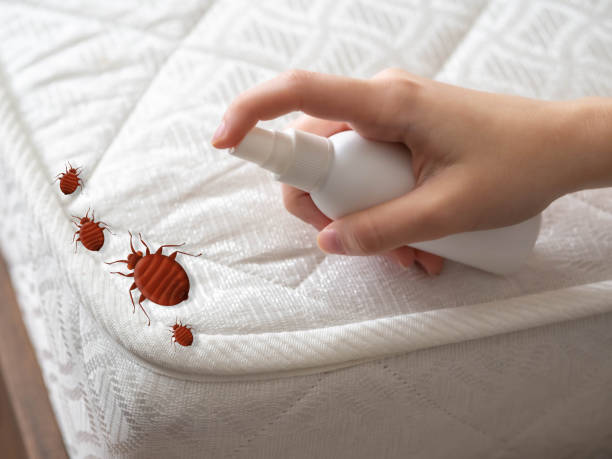 Best Flea Control Services  in Sturgeon Bay, WI